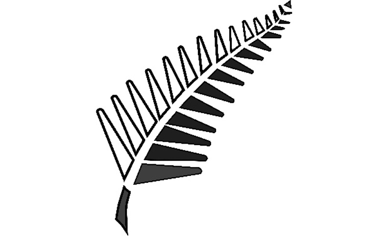 Silver Fern